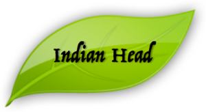 indian head